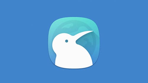 Kiwi-Browser-bannière